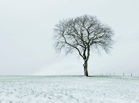 Wintertime