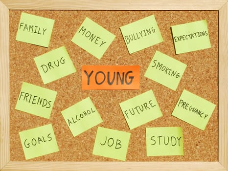 Young concerns on a cork board