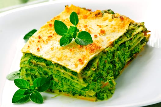 Plate of vegeterian lasagna