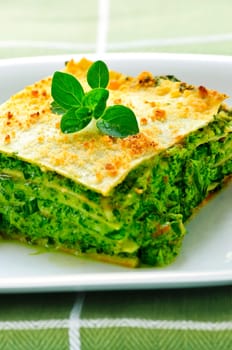 Plate of vegeterian lasagna