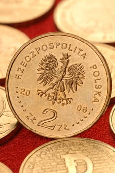 polish money