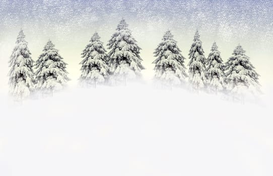 Pine trees on hill