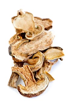 Dry porcini mushrooms