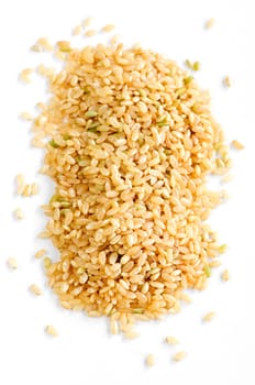 Short brown rice