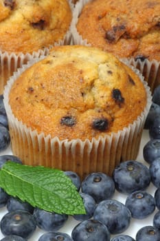Blueberry Muffins