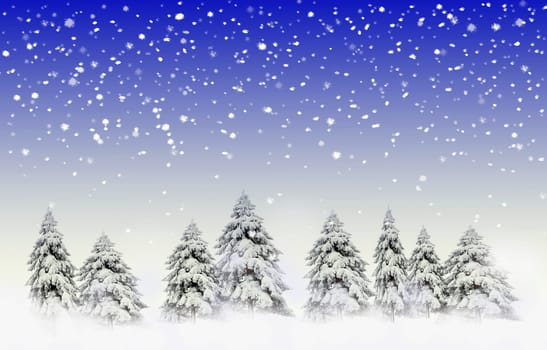 Pine trees on hill