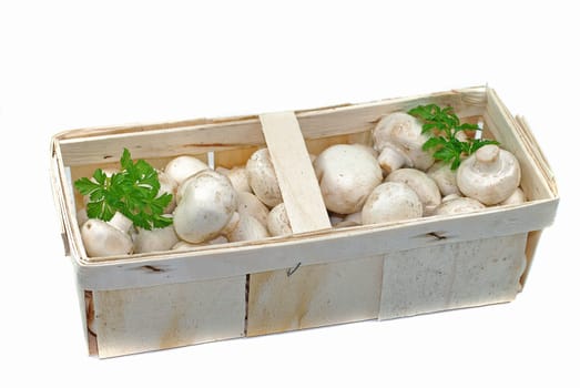 white mushrooms