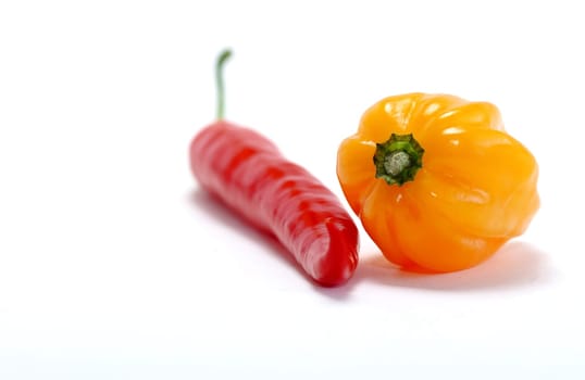 Orange Habanero and Peppereroni