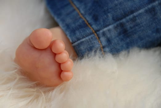 Baby Foot