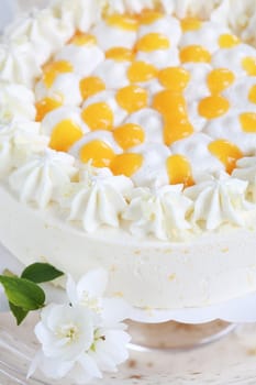 Yogurt cake with oranges