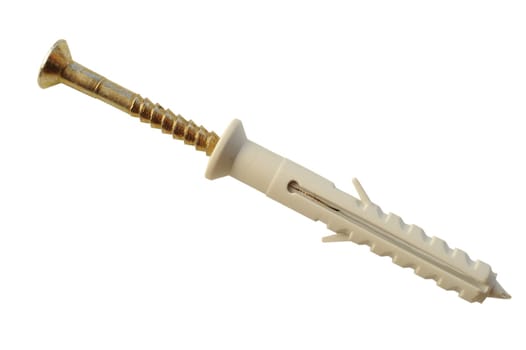 Screw and dowel