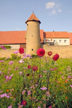 Flowers on the city wall in Mainbernheim