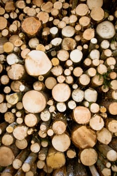Logs storage