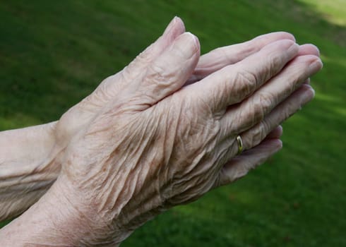 Old Hands