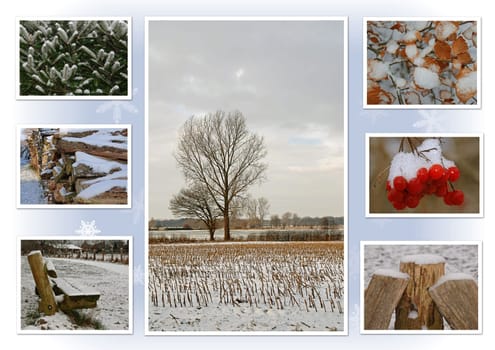 Winter walk