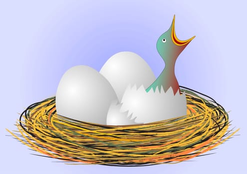 hungry little bird in the nest