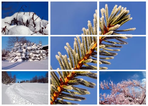 Winter Reureif