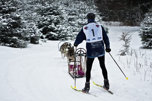 Final sprint