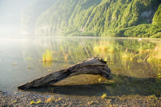 Stranded wood
