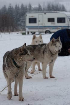 at the base camp