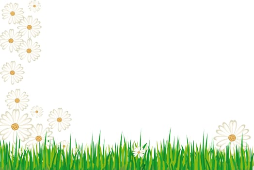 Spring Meadow Background Card