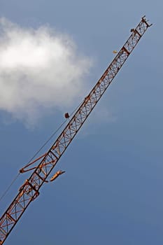 Crane