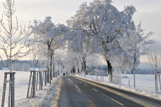 country road asphalt