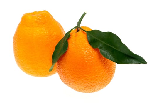 Orange with leaf