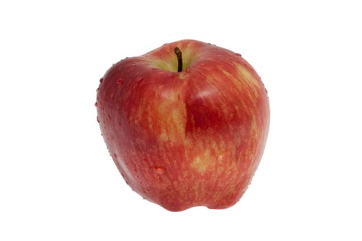fresh apple