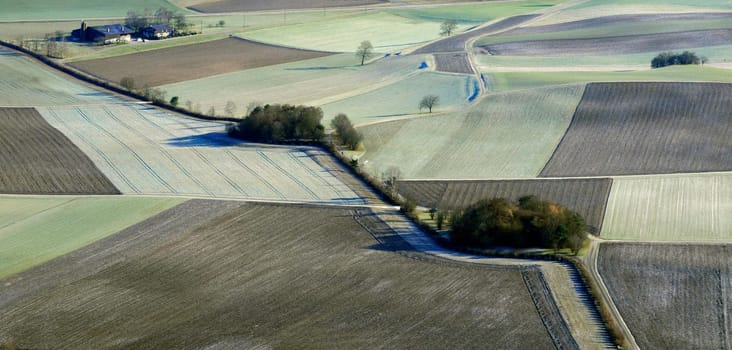 Winter Fields