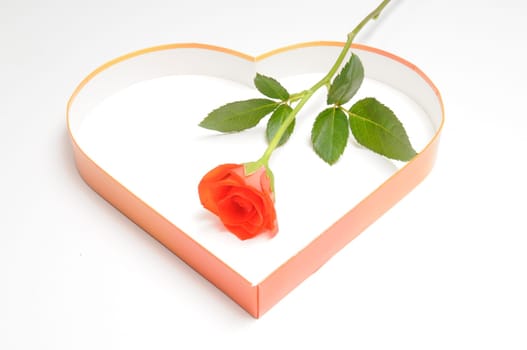 Rose and Heart