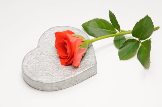 Rose and Heart