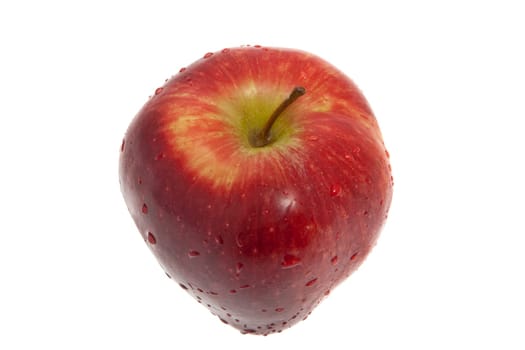 fresh apple
