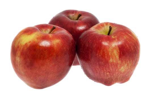 fresh apple