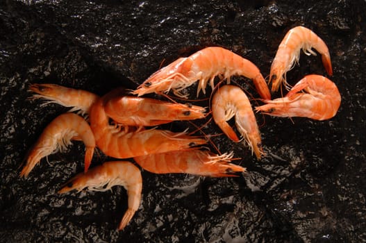 shrimp