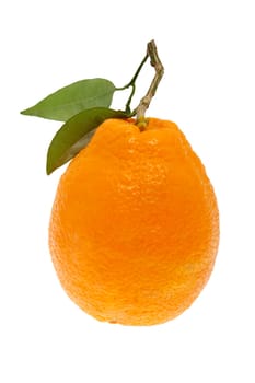 Orange with leaf