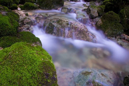 Stream
