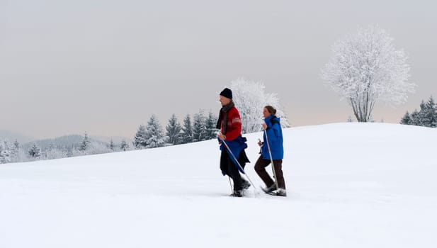 Winter walk