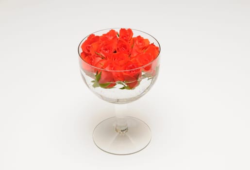 Jar with roses