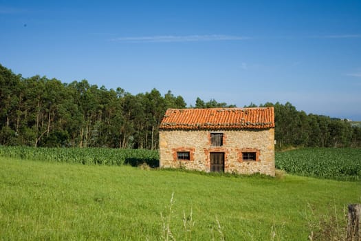 lonely house