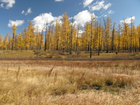 Mongolia