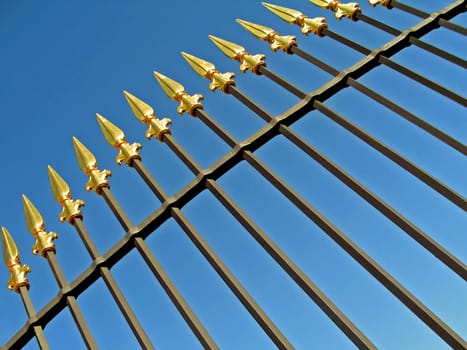 Phalanx