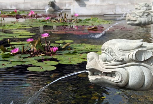 Dragon fountain and lotus pond