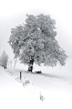 Wintertime