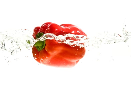 Bell pepper in water wd419