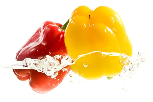 Peppers in water wd420