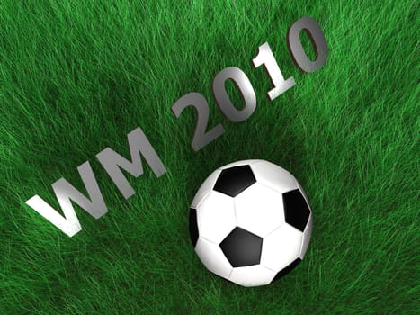 Soccer - 2010 - Grass