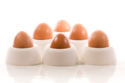 Eggs wd422
