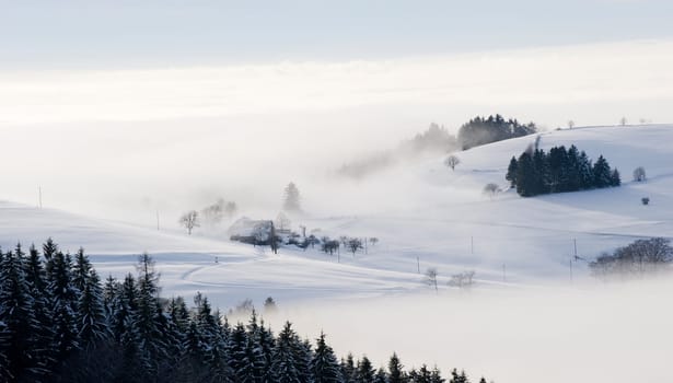Winter Dream