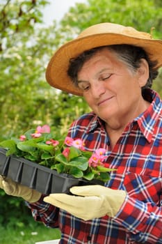 Senior woman - gardening